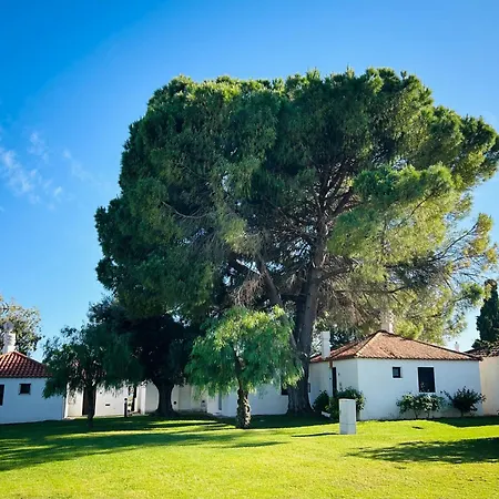Ferienhaus Pedras D'el Rei Olive Tree