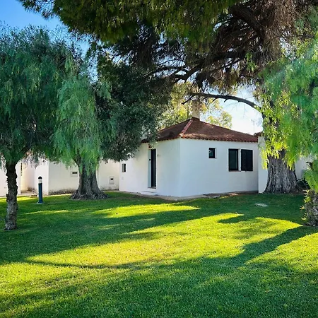 Pedras D'el Rei Olive Tree Ferienhaus *