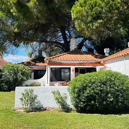 Ferienhaus Pedras D'el Rei Olive Tree Pedras de El-Rei